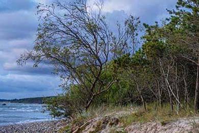 资深教练离任，新帅策略成谈资，教练zefa去哪了