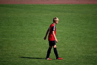 开云体育平台-NBA球员高原训练对平原比赛状态的影响，平原运动员进行高原训练原因